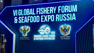 экспортеров Мурманской области приглашают на ключевое мероприятие рыбной отрасли - фото - 1